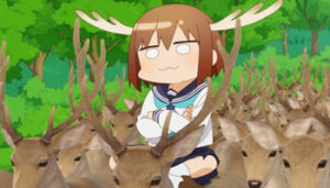 Shikanoko Nokonoko Koshitantan