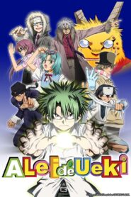 Ueki no Housoku