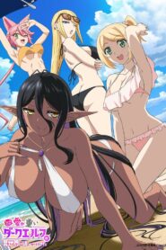 Chotto dake Ai ga Omoi Dark Elf ga Isekai kara Oikaketekita Temporada 1