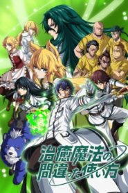 Chiyu Mahou no Machigatta Tsukaikata