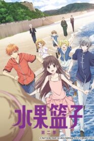 Fruits Basket 2 Dublado