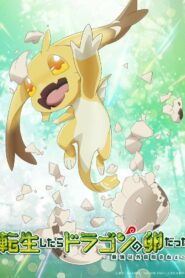Tensei shitara Dragon no Tamago datta Temporada 1