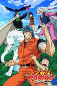Toriko Dublado