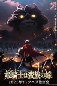 Himekishi wa Barbaroi no Yome