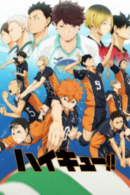 Haikyuu!! Temporada 2